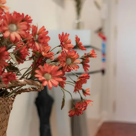 And Charming - Guggenheim & Old Town شقة بلباو