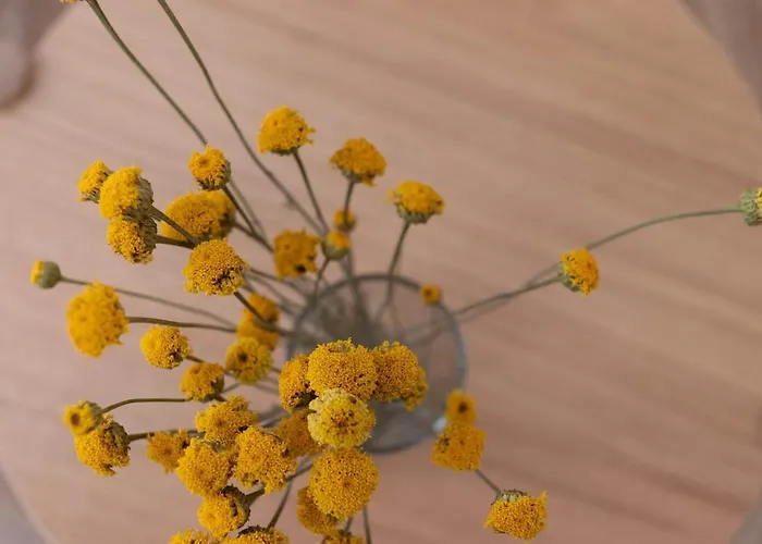 And Charming - Guggenheim & Old Town